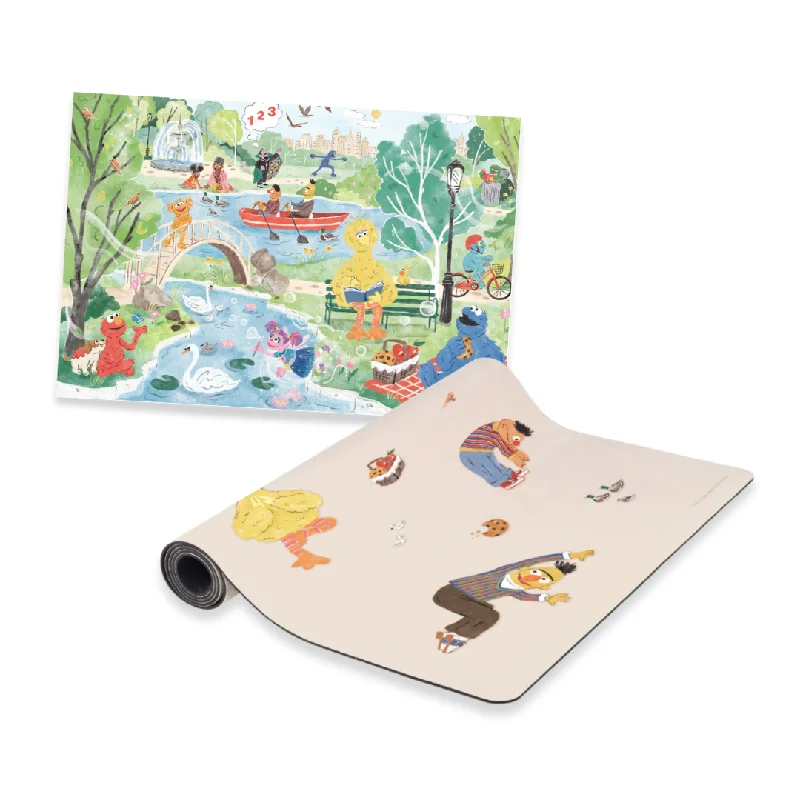 Sesame Street Adventure Bundle